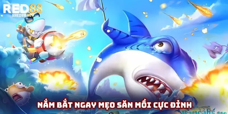 Nắm bắt ngay mẹo săn mồi cực đỉnh