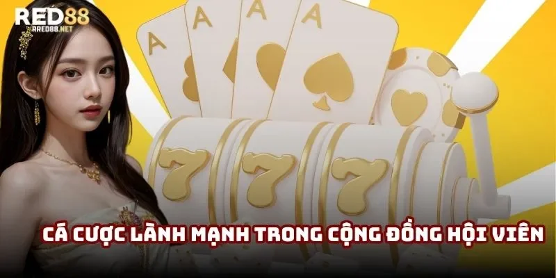 Hỗ trợ cá cược lành mạnh trong cộng đồng hội viên Hỗ trợ cá cược lành mạnh trong cộng đồng hội viên