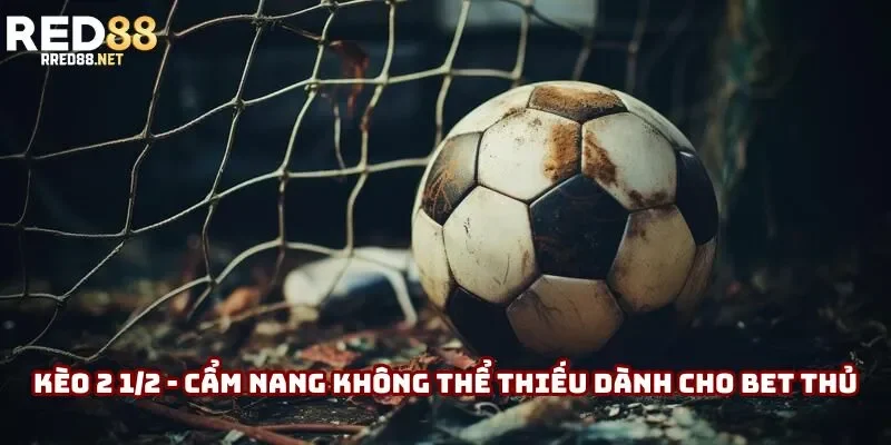 Kèo 2 1/2 - Cẩm Nang Không Thể Thiếu Dành Cho Bet Thủ