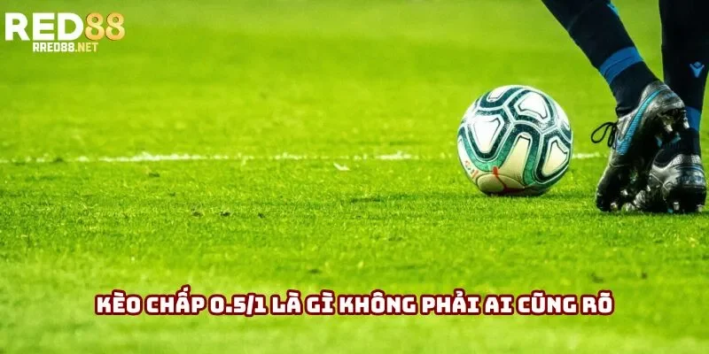 Kèo chấp 0.5/1 là gì không phải ai cũng rõ