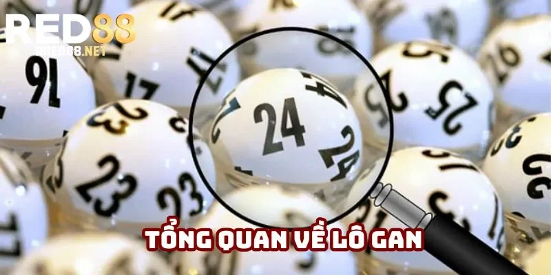 Tổng quan về lô gan